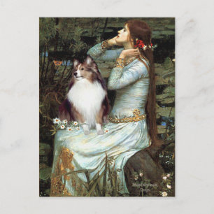 Shetland Sheepdog 18 - Ophelia Seated Postcard