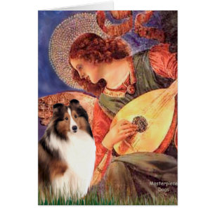 Shetland Sheepdog 7 - Mandolin Angel