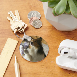 Shetland Sheepdog Begging Keychain