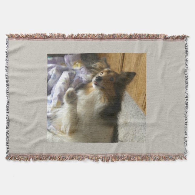 Shetland Sheepdog Begging Throw Blanket (Front)