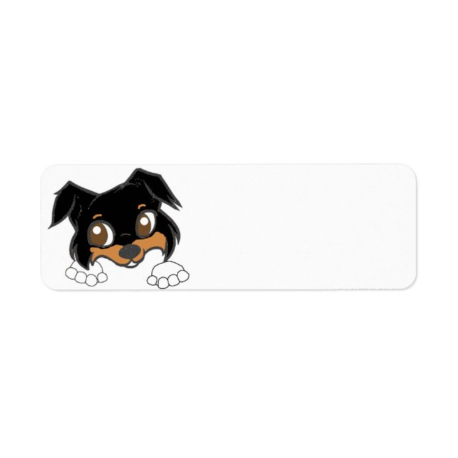 Shetland Sheepdog Black Tri Peeking Carton (Devant)