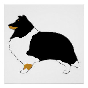 shetland sheepdog black white and tan silo poster