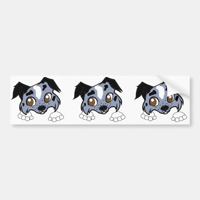 Shetland Sheepdog Blue Merle Bumper Sticker (Front)
