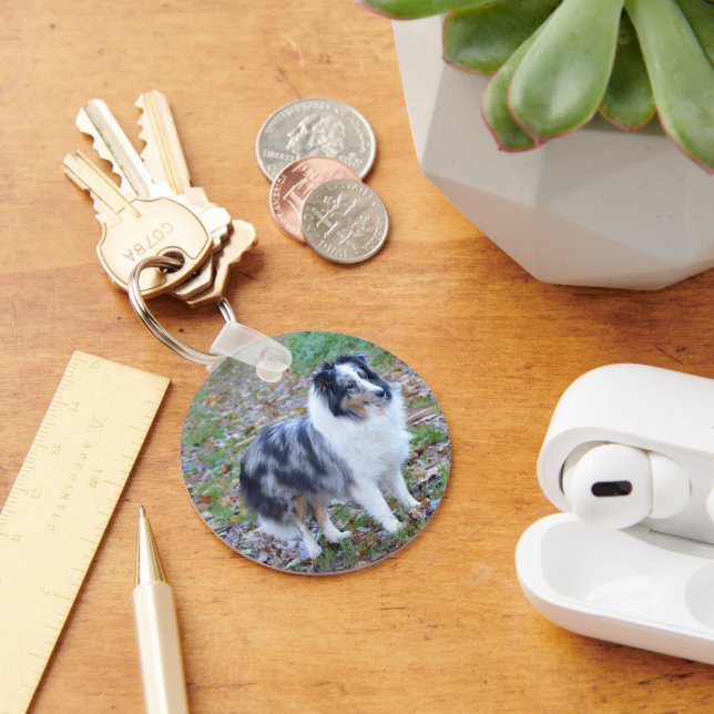 Shetland Sheepdog Blue Merle Keychain (Desk)