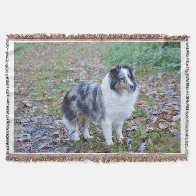 Shetland Sheepdog Blue Merle Throw Blanket (Front)
