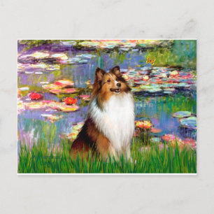 Shetland Sheepdog (Bz) - Lilies 2 Postcard