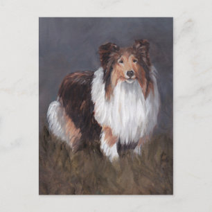 Shetland Sheepdog Dog Art Post Card