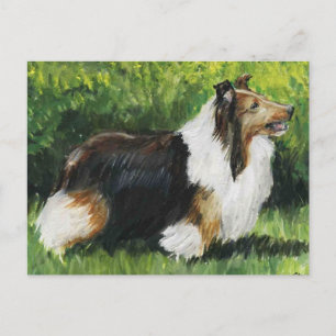 Shetland Sheepdog Dog Art Postcard
