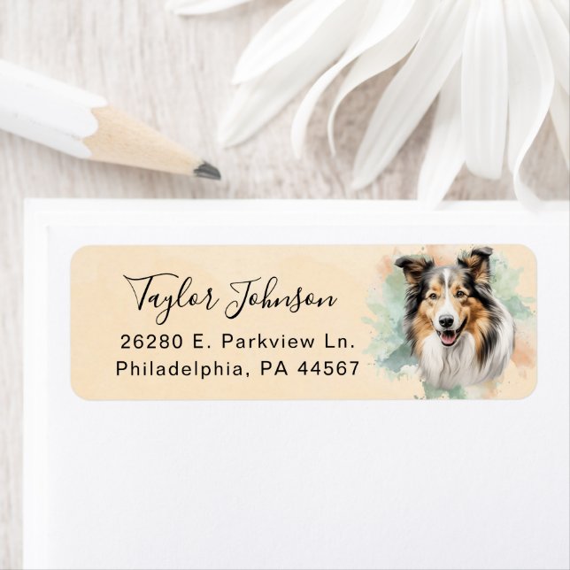 Shetland Sheepdog Dog Return Address Label (Insitu)
