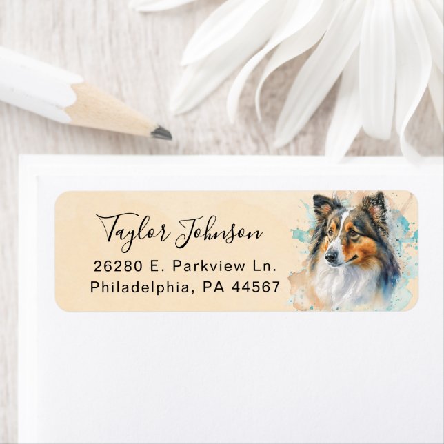 Shetland Sheepdog Dog Return Address Label (Insitu)