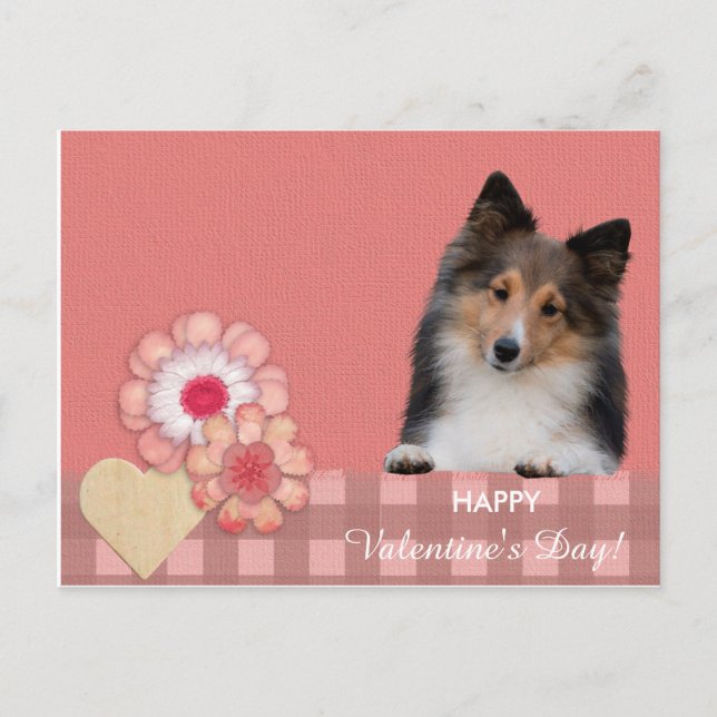 Shetland Sheepdog dog Valentine's Day postcard (Front)