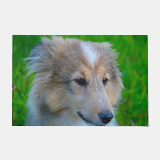 Shetland Sheepdog. Doormat (Front)