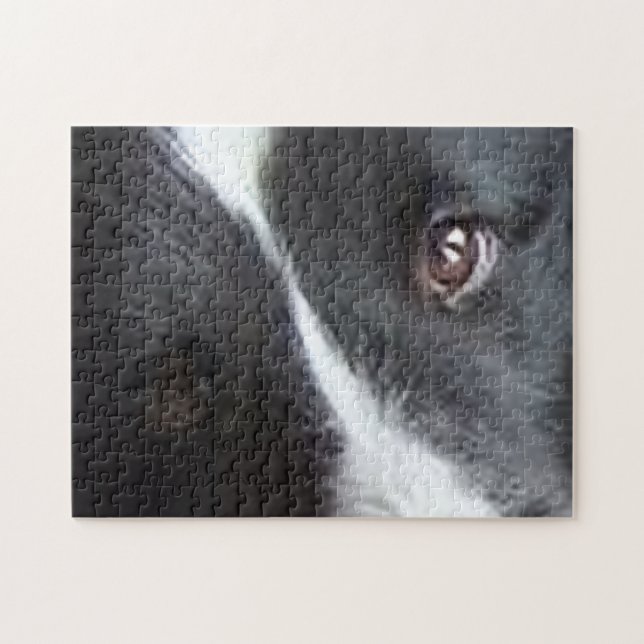 Shetland Sheepdog Eyes Jigsaw Puzzle (Horizontal)