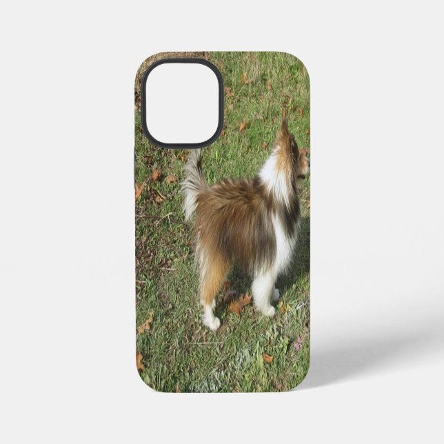 Shetland Sheepdog Full Second iPhone Case (Back)