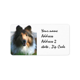 Shetland Sheepdog Label