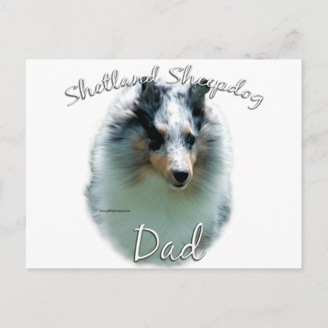 Shetland Sheepdog (merle) Dad 2 Postcard (Front)
