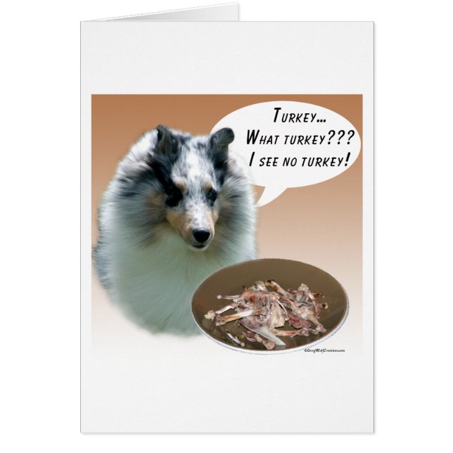 Shetland Sheepdog (merle) Turkey (Front)
