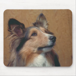 Shetland Sheepdog Mouse Pad
