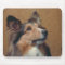 Shetland Sheepdog