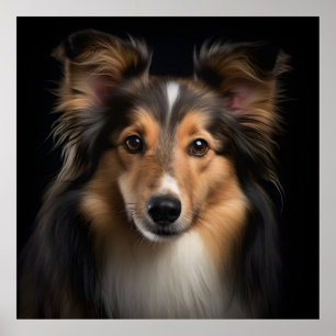 Shetland Sheepdog Poster