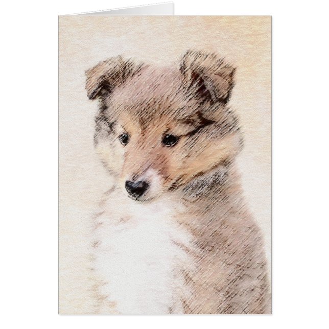 Shetland Sheepdog Puppy Peinture Chien original ar (Devant)