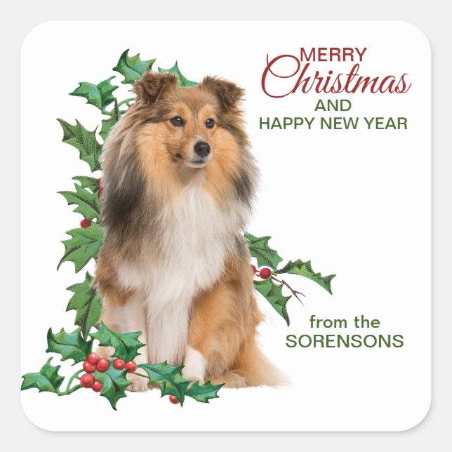Shetland Sheepdog Red Berry Holly Christmas Square Sticker (Front)