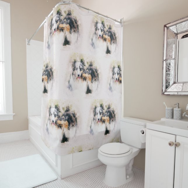 Shetland Sheepdog/ Rough Collie (In Situ)