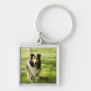 Shetland Sheepdog running on the grass Keychain