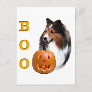 Shetland Sheepdog (sable) Boo Postcard