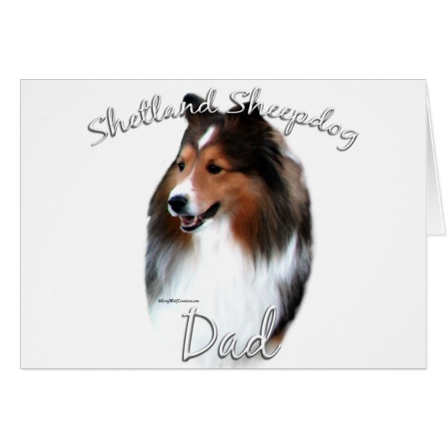 Shetland Sheepdog (sable) Dad 2 (Front Horizontal)
