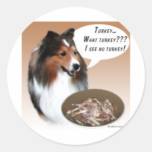 Shetland Sheepdog (sable) Turkey Classic Round Sticker