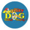 Shetland Sheepdog Sheltie Agility