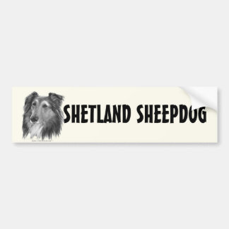 Shetland Sheepdog (Sheltie) Bumper Sticker