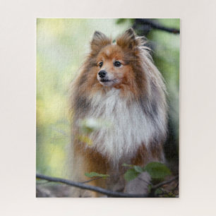 Shetland Sheepdog Sheltie little dog in forest Jigsaw Puzzle