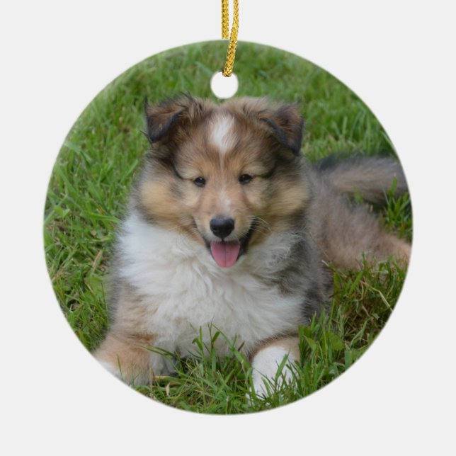 Shetland Sheepdog - Sheltie Puppy Dog Ceramic Ornament (Front)
