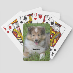 Shetland Sheepdog - Sheltie Puppy Dog Playing Cards