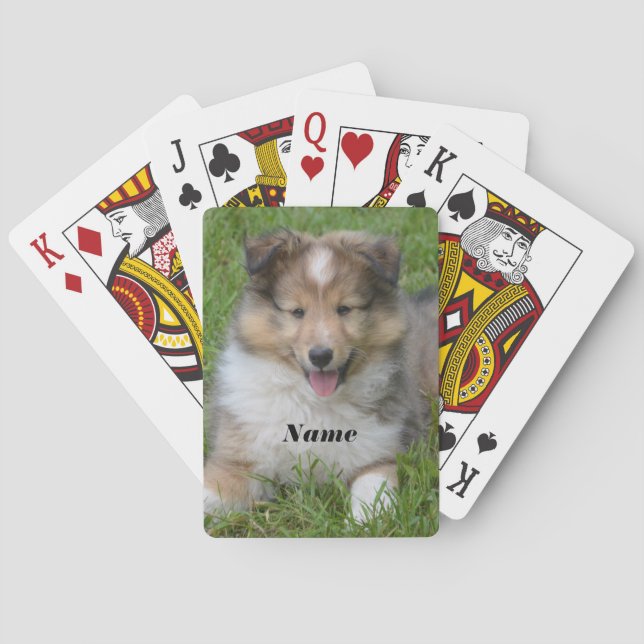 Shetland Sheepdog - Sheltie Puppy Dog Playing Cards (Back)