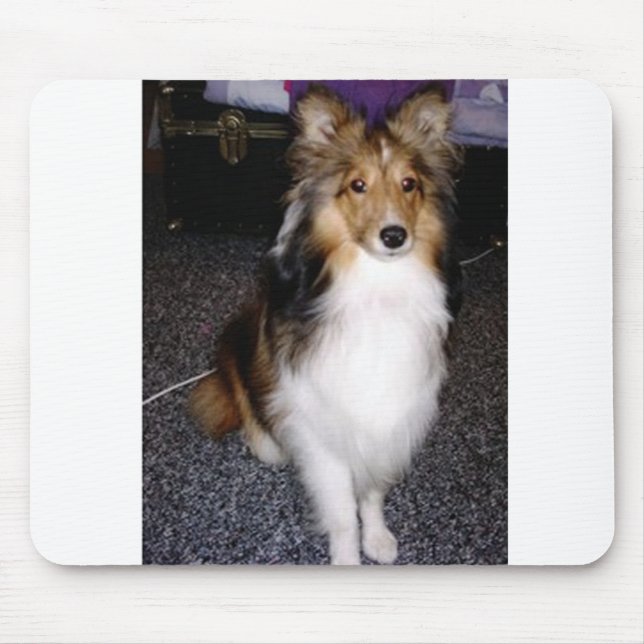 shetland sheepdog sitting 2 mouse pad (Front)