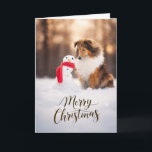 Shetland Sheepdog Snowman Christmas Card<br><div class="desc">This beautiful Christmas card features a sable Shetland Sheepdog sitting in the snow beside a cheerful little snowman wrapped in a bright red scarf, glowing in soft golden winter light. The inside is blank and fully customizable, so you can add your own holiday message, family greeting, or personal note. Perfect...</div>