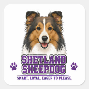 🐾 Shetland Sheepdog 🐾 Square Sticker