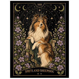 Shetland Sheepdog, Starlit Tarot Art Postcard