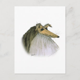 Shetland Sheepdog, tony fernandes Postcard