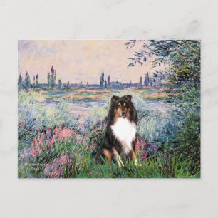 Shetland Sheepdog (Tri) - By the Seine Postcard