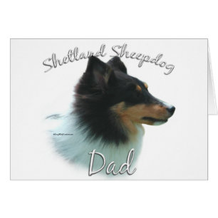 Shetland Sheepdog (tri) Dad 2