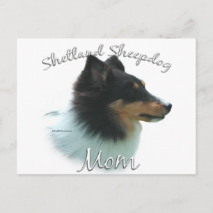 Shetland Sheepdog (tri) Mom 2 Postcard