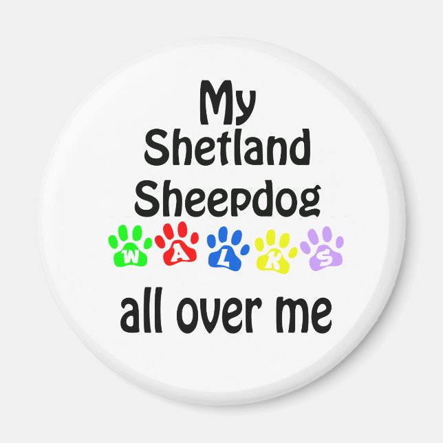 Shetland Sheepdog Walks Design Magnet (Front)