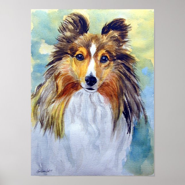 Shetland Sheepdog Wall Print (Front)