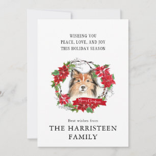 Shetland Sheepdog Watercolor Poinsettia Christmas Holiday Card