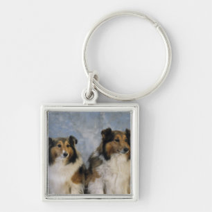 Shetland Sheepdogs Keychain