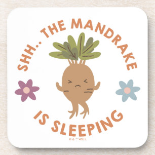 Shh.. The Mandrake Is Sleeping Coaster